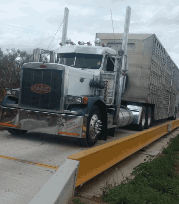 Basculas Camioneras Mapersa